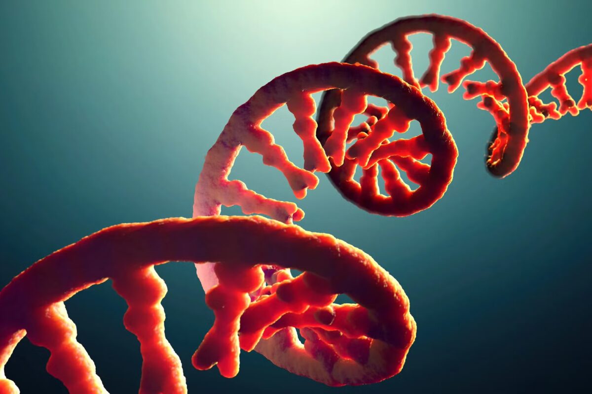 illustration of rna