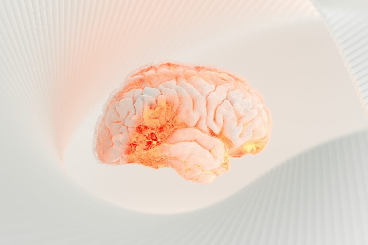 illustration of a brain in front of a light colored backgorund